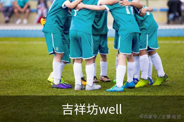 吉祥坊well公司介绍